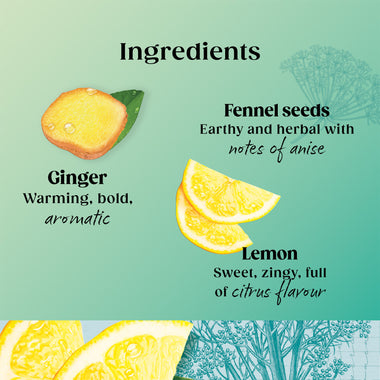 Superblends Detox - 4 x 20 Envelopes